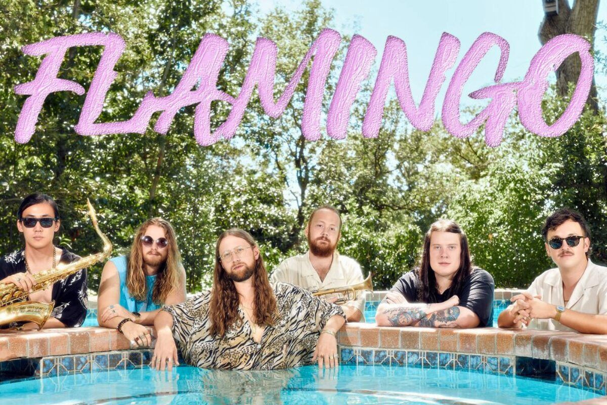 flamingo